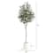 6ft. Artificial Olive Tree with White Decorative Planter